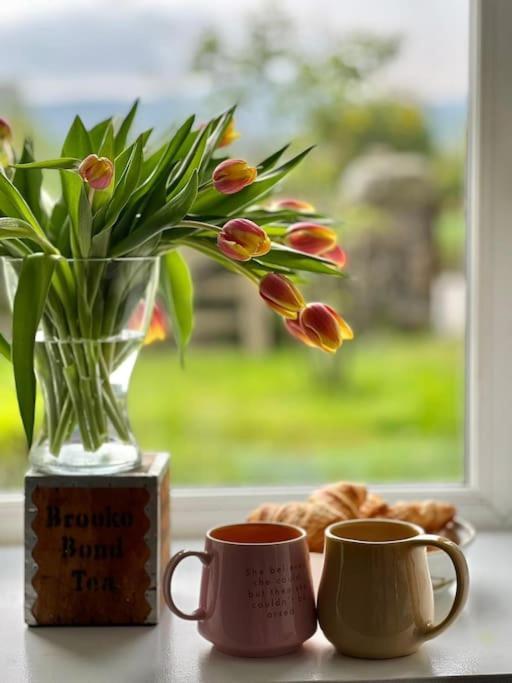 Cosy Country House In Deeside Finzean Rum bild